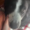 maverick