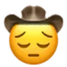 pensivecowboy pensivecowboy