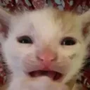 emoji_62