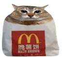hashbrungus
