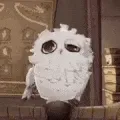 cokeowl