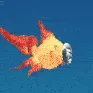 FishSpin
