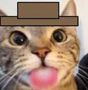 sillyhat