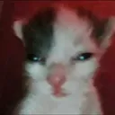 math_1 math_1