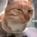 clmath clmath