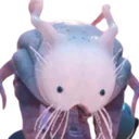Jokualien