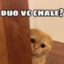 mbg_vc_dha