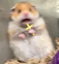 AHHHHHHH