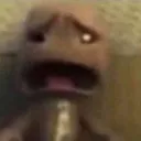 whatthefuck