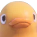 DuckFelipeHUH