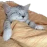sleepy