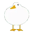 duck_vibe