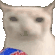 catchips