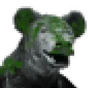 mossybear