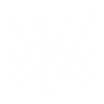 onetwopunch