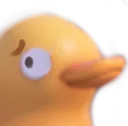 duckconcern