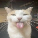 lick