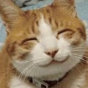hihi