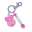 H1_Mizi_Keychain_DNS