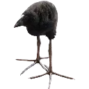 damn_bird