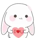 bunny_ily_HouseOfPacks