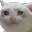 SadCat