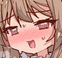 BlushEvelyn BlushEvelyn