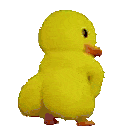 DuckTwerk