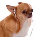 music