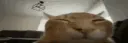 cat_boom cat_boom