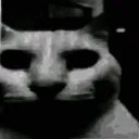 doomcat