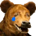 bearysad