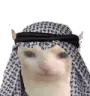 halalcat