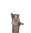 gatohappymeme