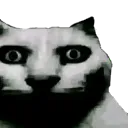 catterrified
