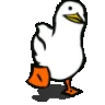 duck_waddle