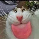 emoji_2