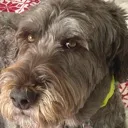 Parkersideeye