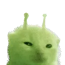 glorping