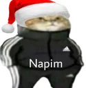napm