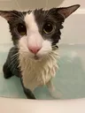 soggymiscarriage