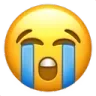 sobAE