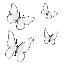 Lost_butterfly