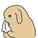 cryy