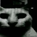 horror