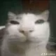 demoustafied