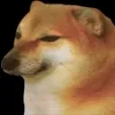 sadcheems
