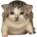 moon_guh moon_guh