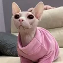 pinksweater