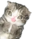 sticker_transparent_resized sticker_transparent_resized